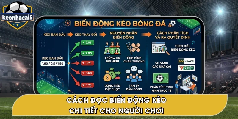 Cách Đọc Biến Động Kèo Cho Người Chơi Mới 2026 Chi Tiết