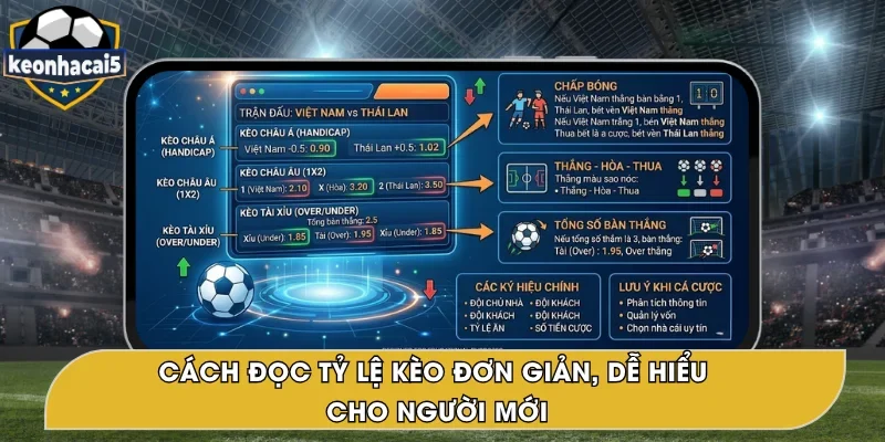 Cách Đọc Tỷ Lệ Kèo Cho Người Chơi Cá Độ Bóng Đá