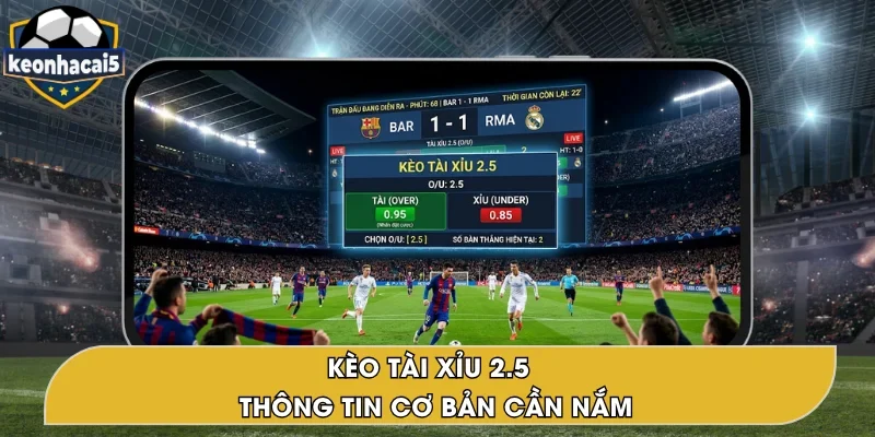 Kèo Tài Xỉu 2.5 – Cách Đọc Và Kinh Nghiệm Chơi