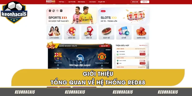 Tổng quan về sân chơi cá cược kèo nhà cái